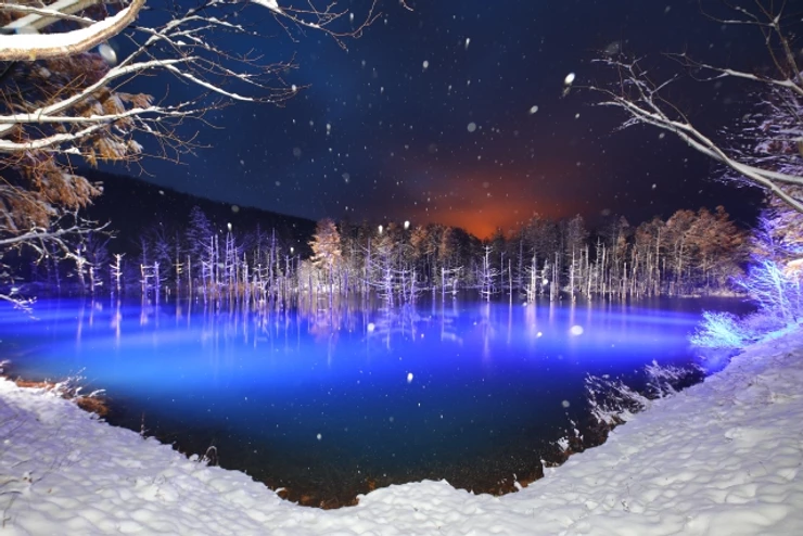 北海道-美瑛 青い池 自然が引き起こした奇跡の絶景,一度は見たい